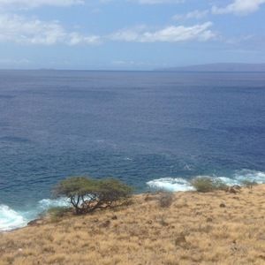 Meet your Posher, Sophie